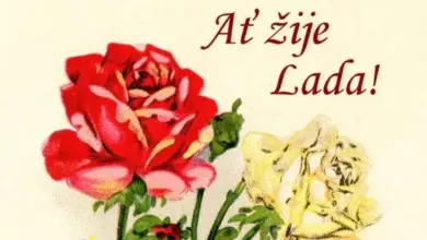 Ilustrace červených a žlutých růží s textem At žije Lada