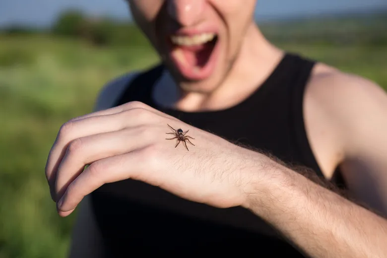 Pavouk sedící na ruce člověka venku.