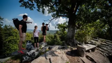 Skupina turistů s psem na horské stezce pod stromem.