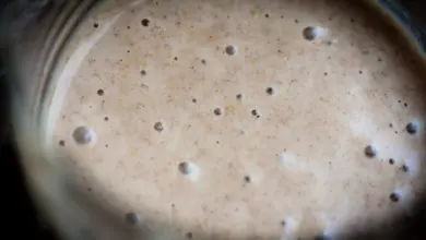 Fermentující kvásek s viditelnými bublinami v sklenici